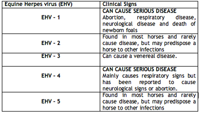 Broodmare Vaccination Chart